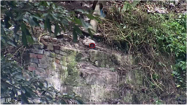 邊坡位移監(jiān)測(cè)的實(shí)施要點(diǎn)有哪些